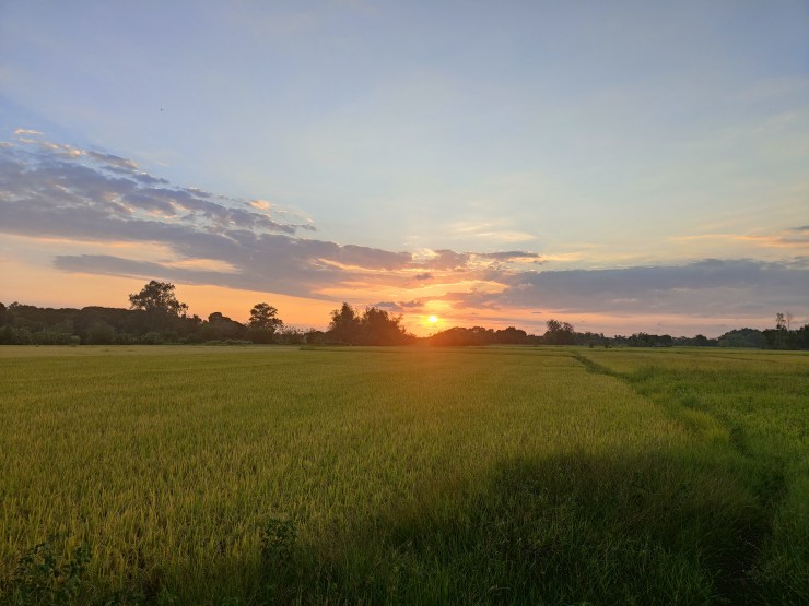 das erste halbe jahr ist um und wir sind immer noch am bauen.