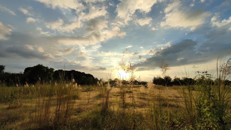 es gibt natürlich auch negative stimmen über die philippinen, aber nicht von mir :) :) :)