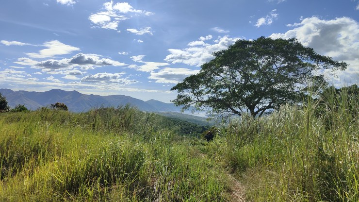 mein 2. jahr frühpensionierung ist vorbei und immer noch keine langeweile.
